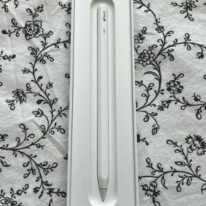 Apple White Pencil 2nd generation